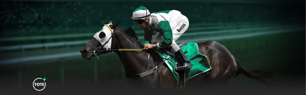 林加德韩国,挑战极限生,食章鱼,开云,KaiYun,kaiyun·开云（中国）官网,开云官网,kaiyun·开云（中国）下载