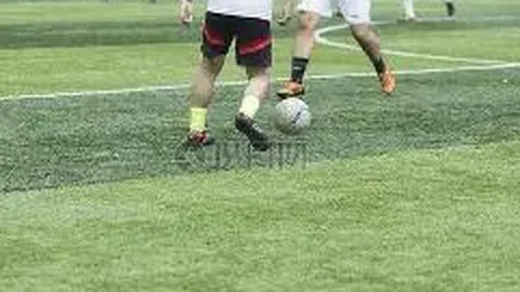 澳门世乒赛阵容公布：王皓阐释樊振东缺席原因——澎湃新闻