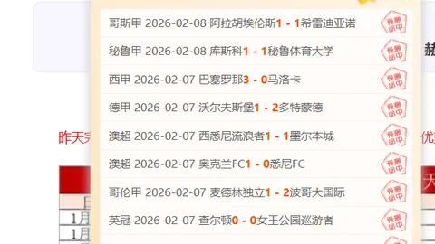 “揭秘100位港地跑者青睐跑鞋：比赛专供·破三级跑手实战体验”